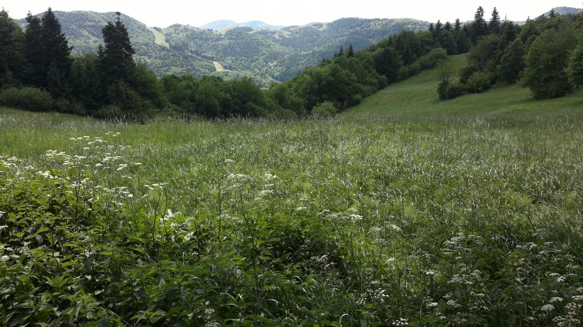 Apartmany Weissov Dom Banská Štiavnica 외부 사진